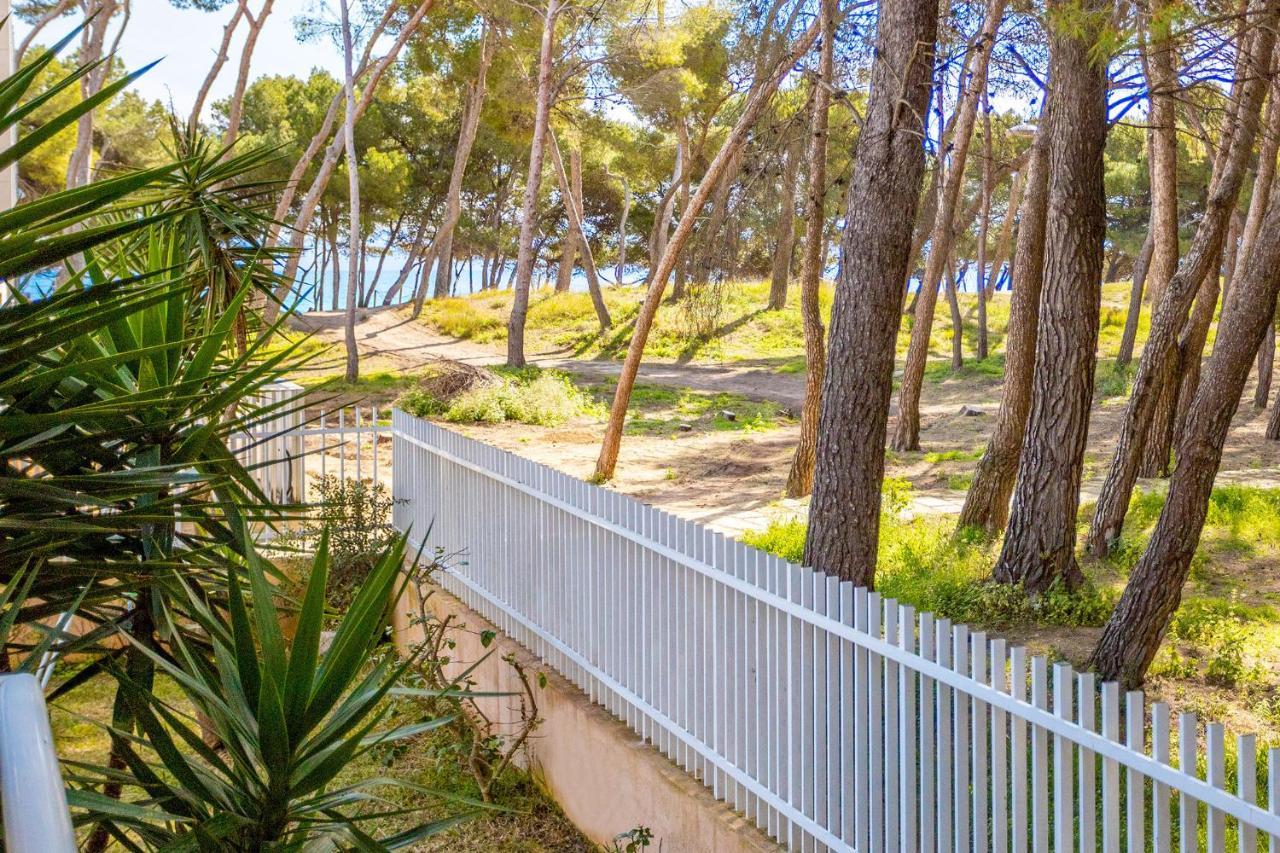Pinos Playa Port de Alcudia (Mallorca)